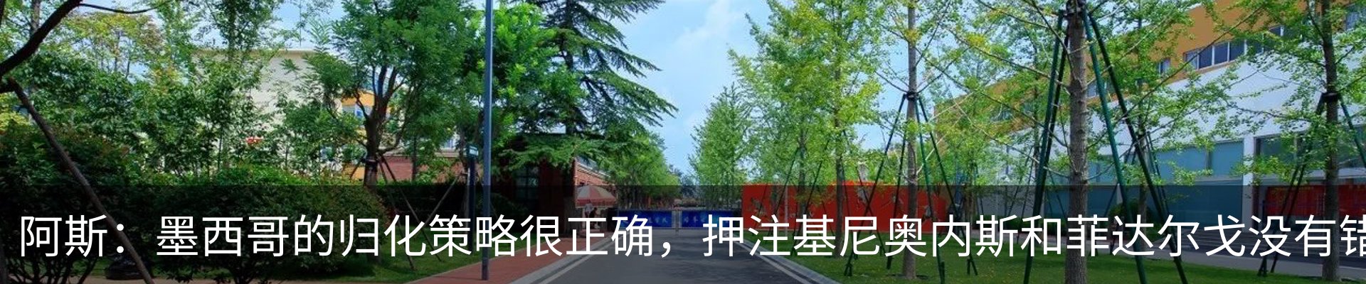资讯动态