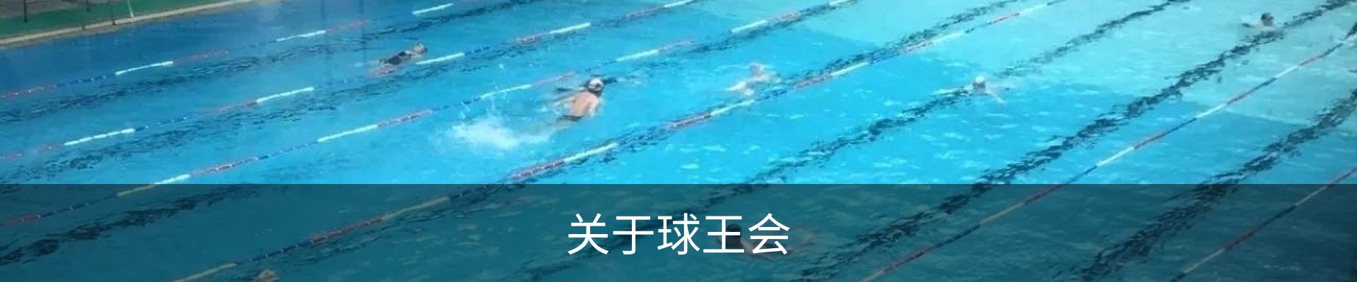 关于球王会