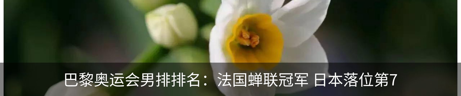 资讯动态